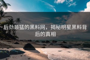 后劲最猛的黑料网，揭秘明星黑料背后的真相