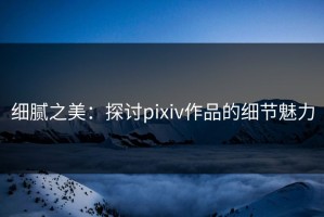 细腻之美：探讨pixiv作品的细节魅力