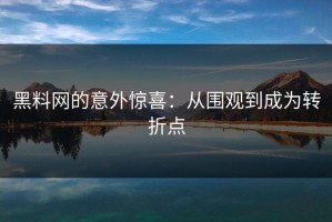 黑料网的意外惊喜：从围观到成为转折点