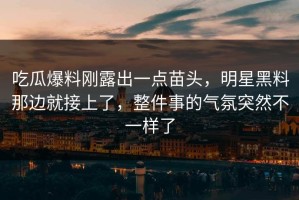 吃瓜爆料刚露出一点苗头，明星黑料那边就接上了，整件事的气氛突然不一样了