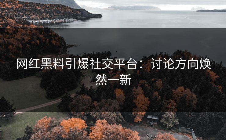 网红黑料引爆社交平台：讨论方向焕然一新