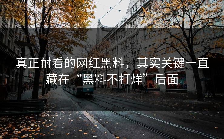 真正耐看的网红黑料，其实关键一直藏在“黑料不打烊”后面